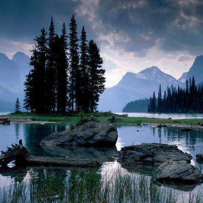 Awesome Trees Near A River 2048x2560